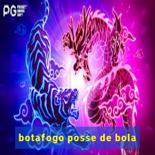 botafogo posse de bola