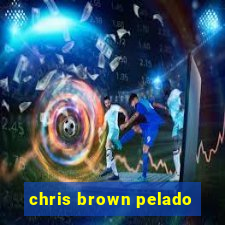 chris brown pelado