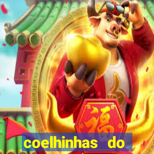 coelhinhas do brasil site