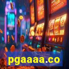 pgaaaa.co