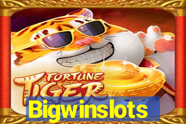 Bigwinslots