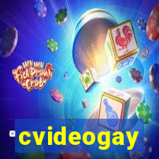 cvideogay