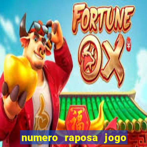 numero raposa jogo do bicho