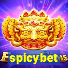 spicybet-5.com