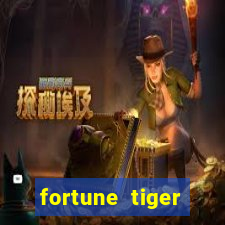 fortune tiger source code