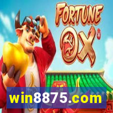 win8875.com